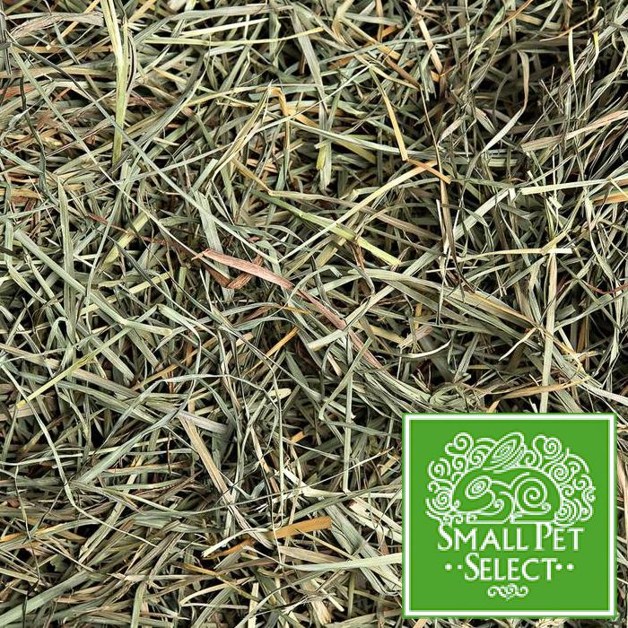 SPS Orchard Grass